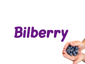 Mirtoselect® Bilberry extract
