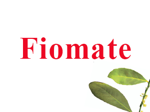 Finomate Green mate extract