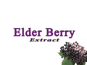 Elderberry 接骨木莓濃縮粉