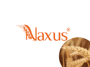 Naxus® Wheat endosperm
