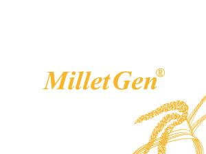 Millet® Millet extract