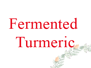 發酵薑黃 Fermented Turmeric